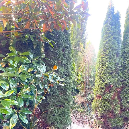 La Domus Lemaitre 1, Plain-pied, Wifi , Tv, Parking, Jardin Apartment